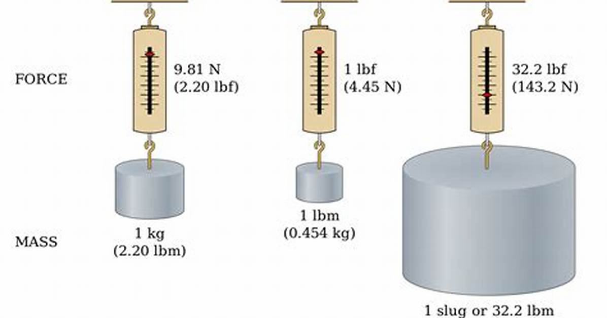 How Much Force Does the 4 Kg Block Exert on the 6 Kg Block?