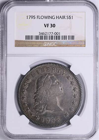 How Much Is a 1795 Flowing Hair Worth?