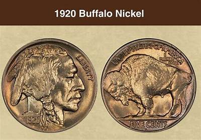 How Much Is a 1920 Indian Nickel Worth?