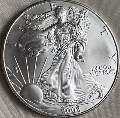 How Much Is a 2002 Silver Dollar Coin Worth?
