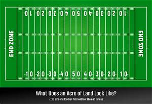 How Much Is an Acre of Land in Texas 2021?
