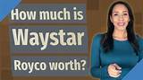 How Much Is Waystar Royco Worth?