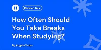 How Often Should You Take a 15 Minute Break When Driving?