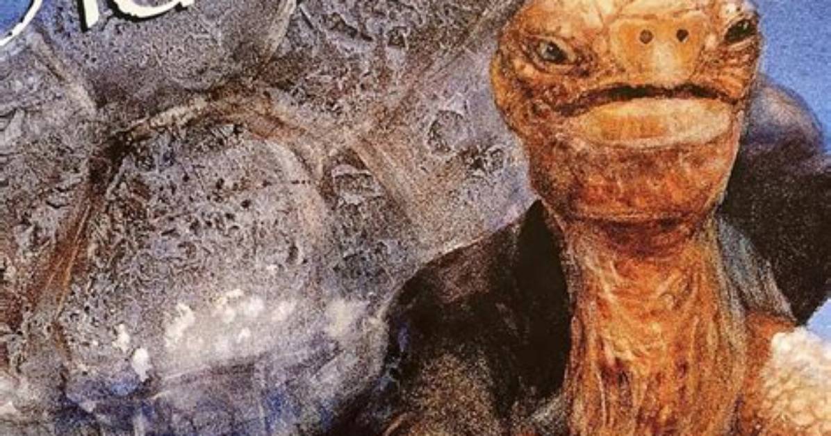 How Old Is This Turtle?