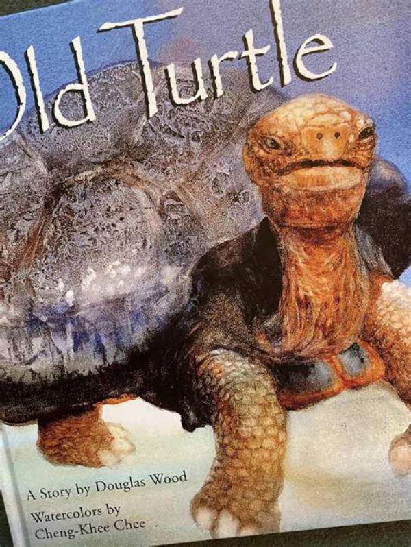 How Old Is This Turtle?