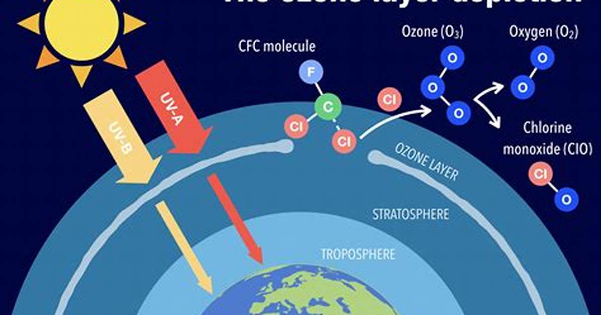 How Ozone Is Depleted?