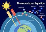 How Ozone Is Depleted?