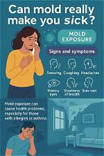 How Quickly Can Mold Make You Sick?