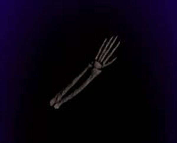 How Rare Is Saints Left Arm in Aut?