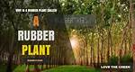 How Rubber Got Its Name?