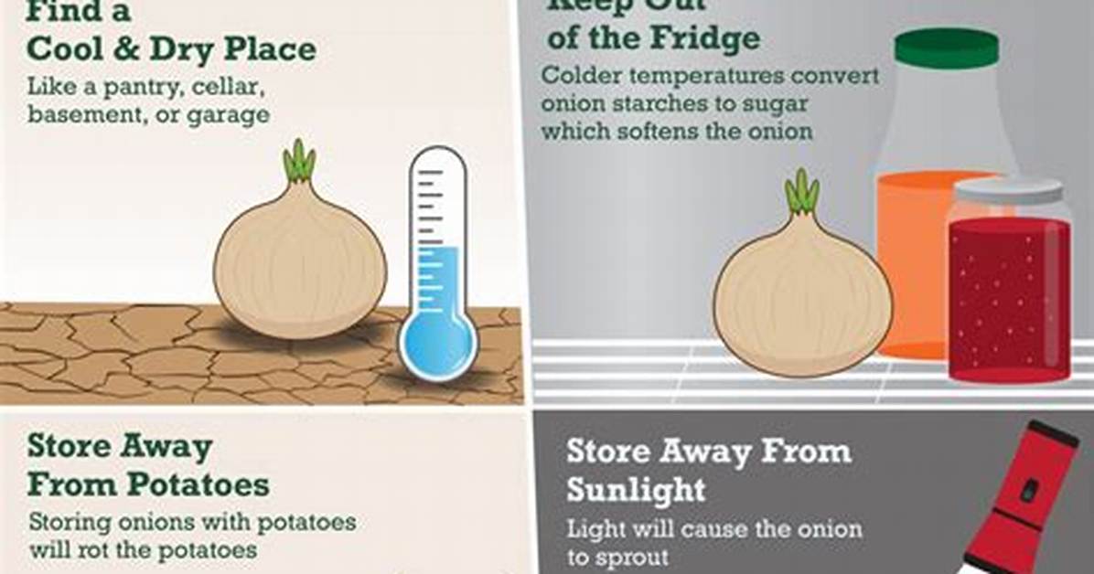 How Should You Store Onions?