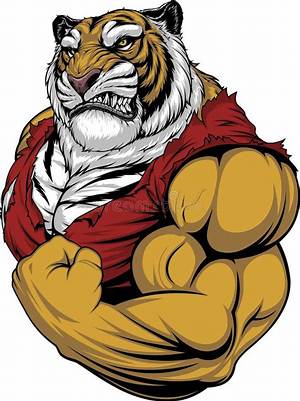 How Strong Is Tiger?