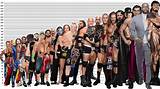 How Tall Are Wwe Superstars? a Comprehensive Guide