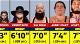 How Tall Are Wwe Wrestlers? Exploring Heights of Your Favorite Superstars