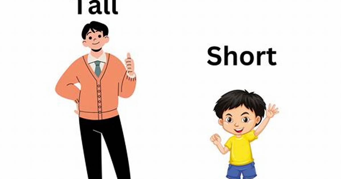 How Tall Is