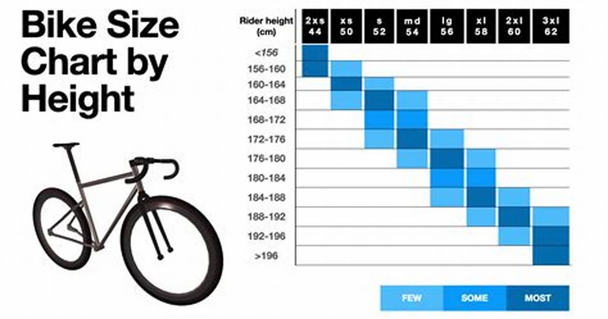 How Tall Should You Be to Ride a 29Er?