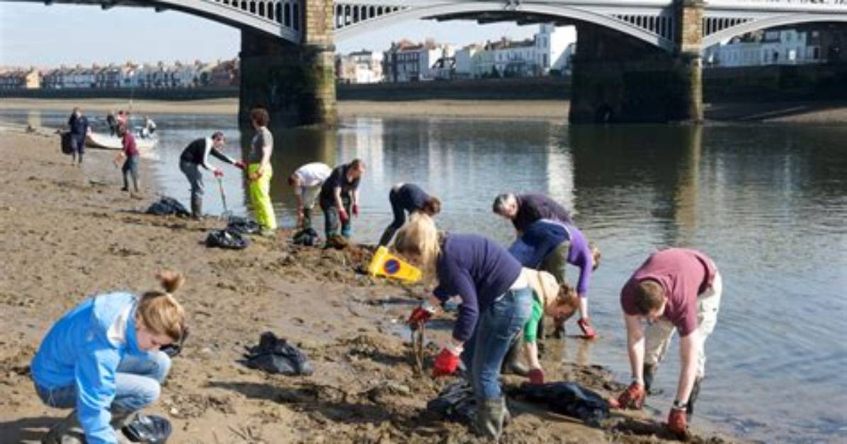 How Thames River Was Cleaned?