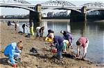 How Thames River Was Cleaned?
