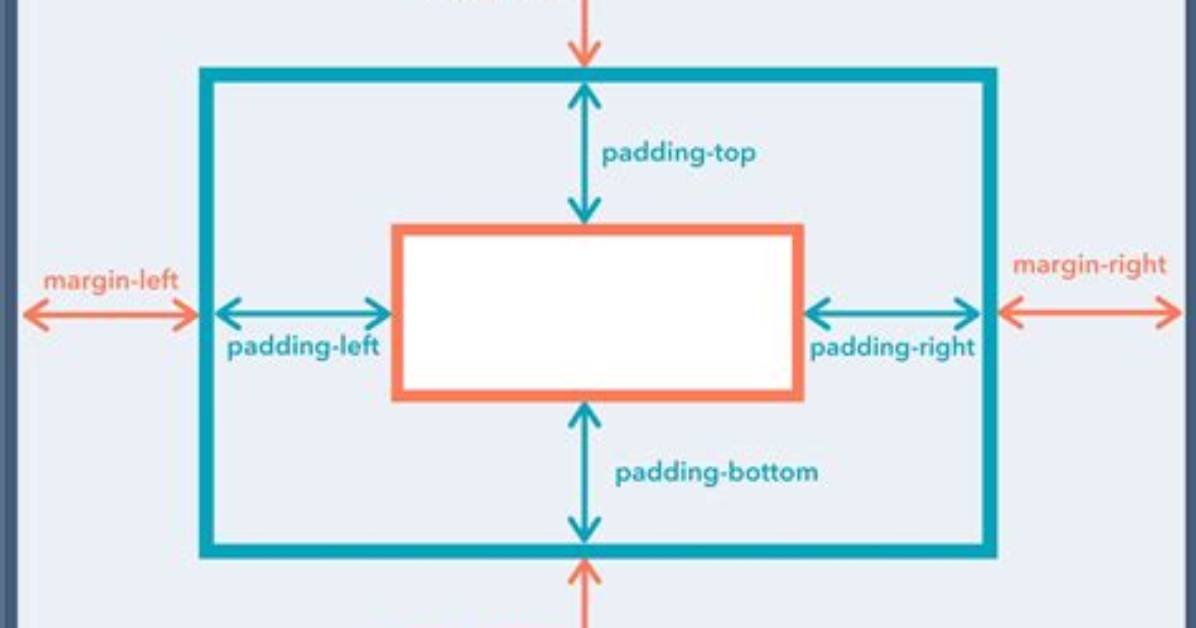 How to Apply Padding to Dining