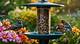 How to Attract Birds to a Feeder on an Apartment Balcony