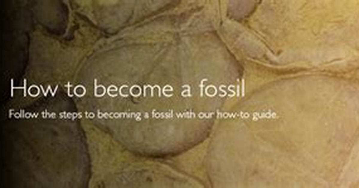 How to Become a Fossil Step One Die