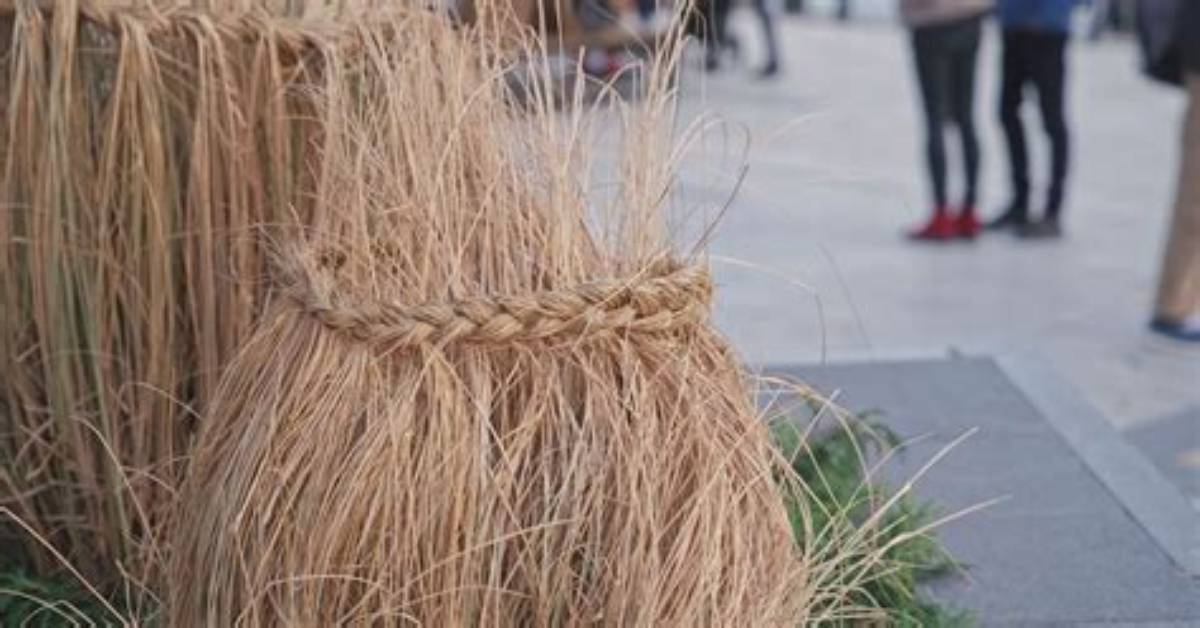 How to Braid Grass