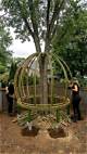 How to Build a Bamboo Treehouse
