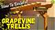 How to Build a Grapevine Trellis