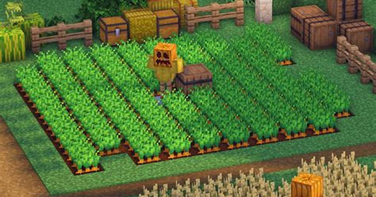 How to Build Farm