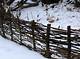 How to Build Twig Fences