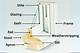 How to Build Window Sashes