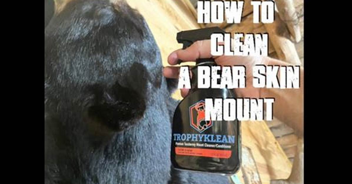 How to Clean a Bear Rug