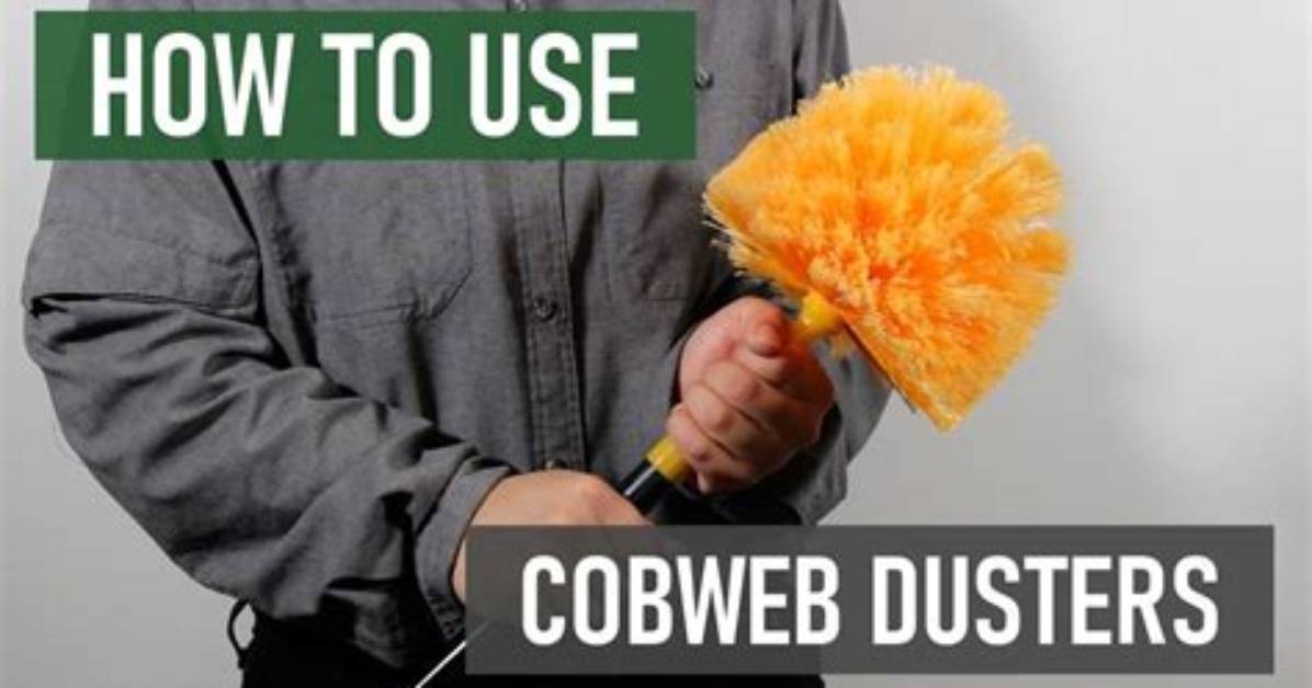 How to Clean a Cobweb