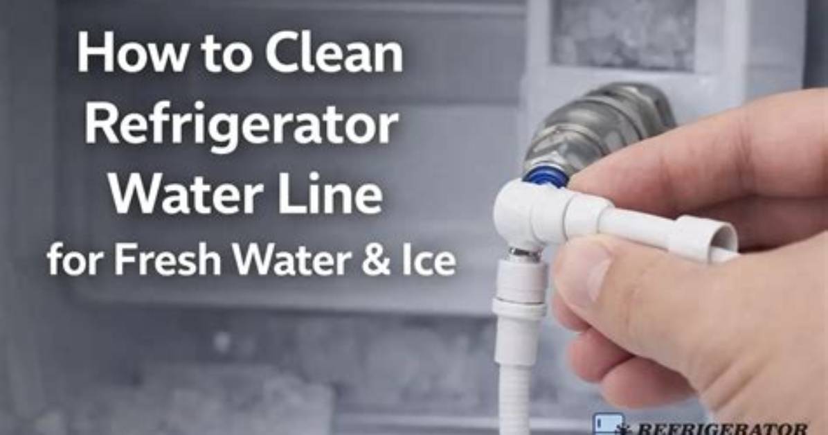 How to Clean a Refrigerator Water