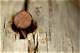 How to Clean a Rusty Nail with Coke