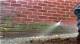 How to Clean Algae off Brick