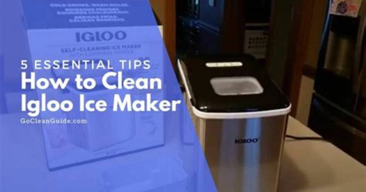 How to Clean an Igloo