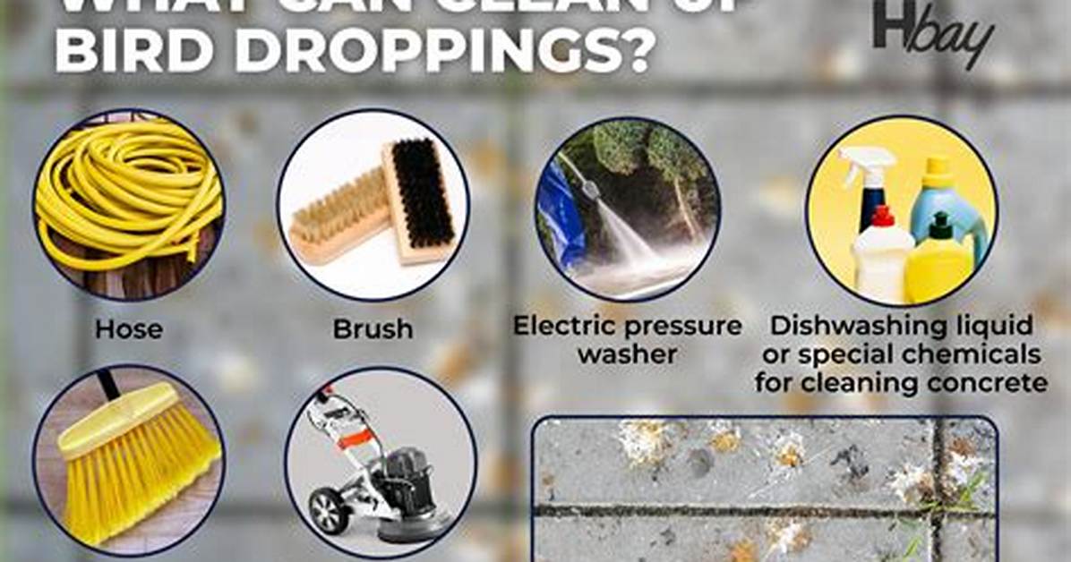 How to Clean Bird Droppings off Patio