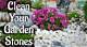 How to Clean Landscaping Stones