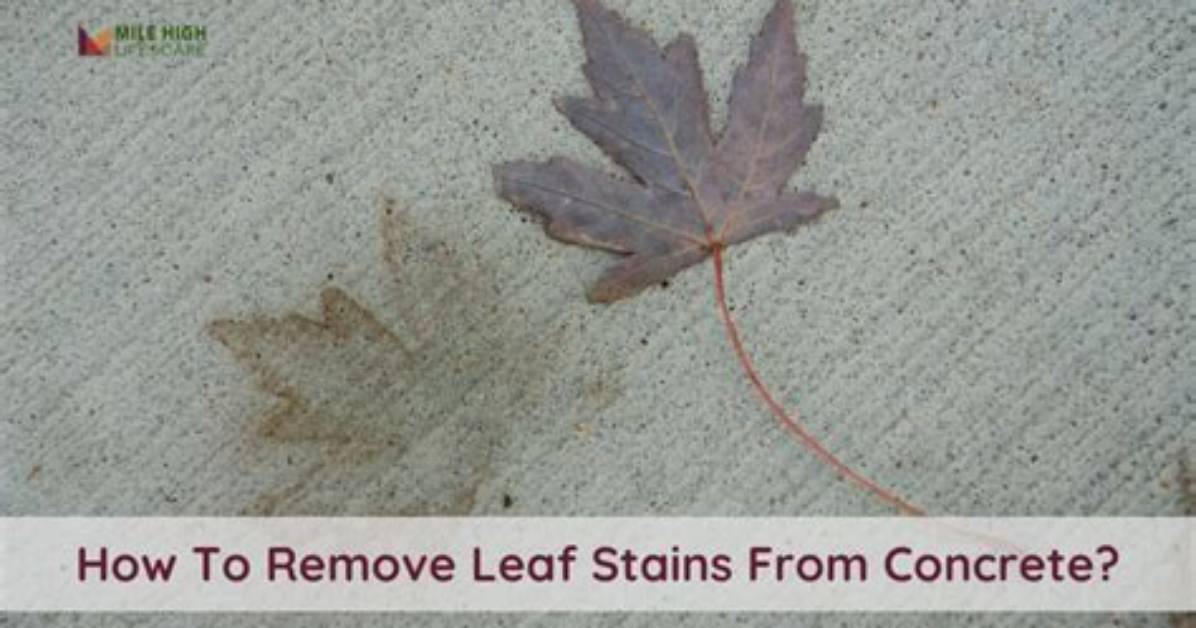How to Clean Leaf Stains off Of