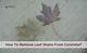How to Clean Leaf Stains off of Bluestone