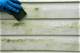 How to Clean Mildew from Rough Cut Lumber
