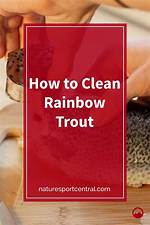 How to Clean Rainbow Trout