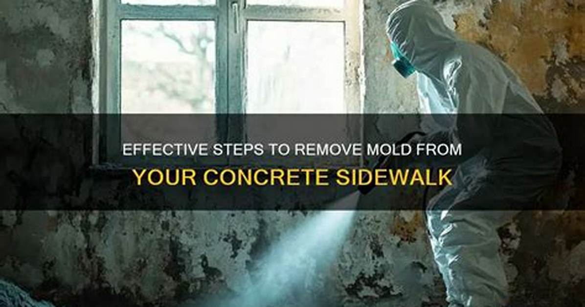 How to Clean Sidewalk Mold