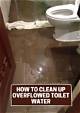 How to Clean up an Overflowing Toilet