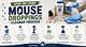 How to Clean up Mouse Droppings & Nests
