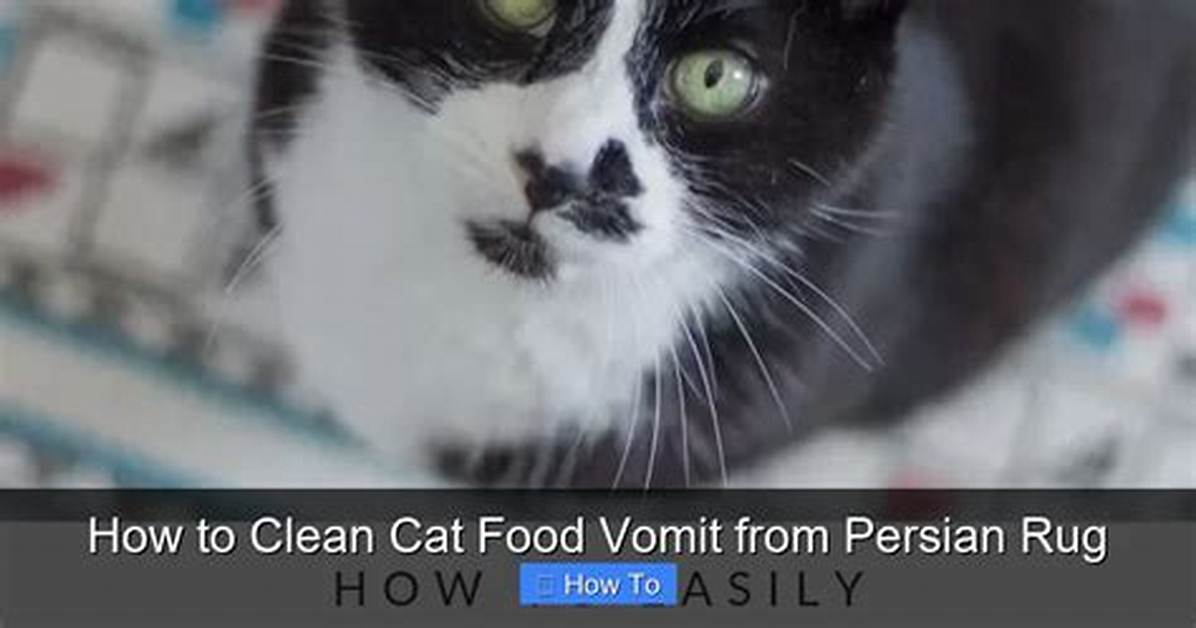 How to Clean Vomit from a Persian Rug