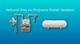 How to Convert a Natural Gas Hot Water Tank to Propane
