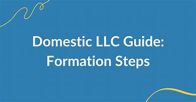 How to Create a Domestic Llc in Georgia?