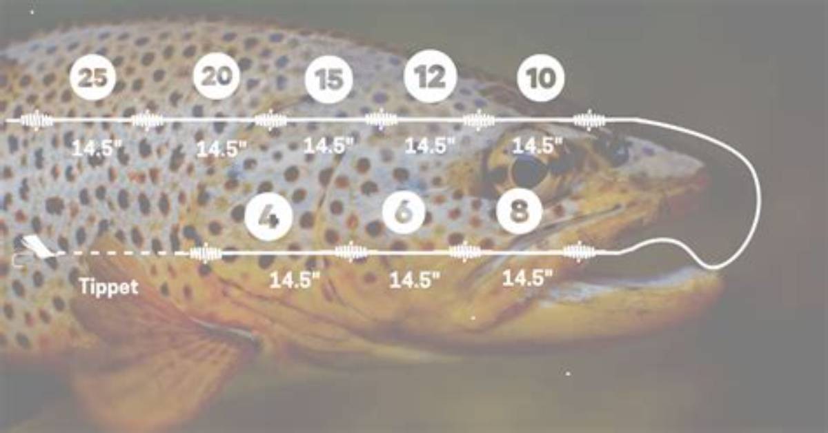 How to Create a Trout